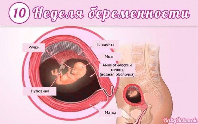 7 Акушерская неделя беременности тянет живот