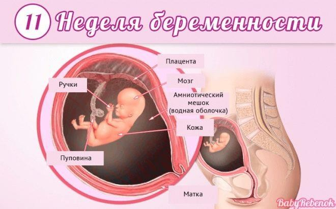 Секс и беременность: ответы совместимости