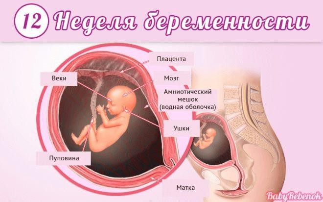 Медикаментозное прерывание беременности