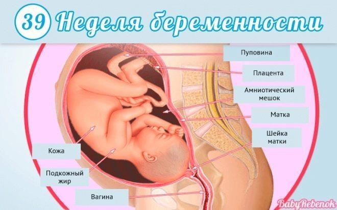 39 недельи — 17 ответов | форум Babyblog