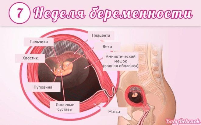 Аноргазмия у женщин