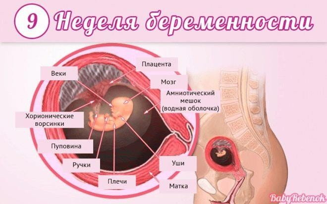 Бесплодие после аборта: какова вероятность осложнения